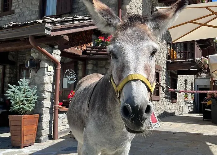 Hotel La Grange - Animal Chic Hotel
