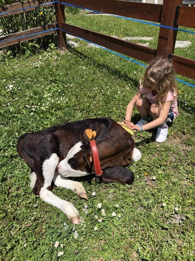 La Grange - Animal Chic Hotel Courmayeur