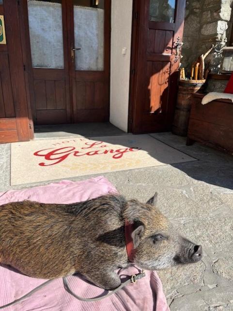 Hotel La Grange - Animal Chic Courmayeur