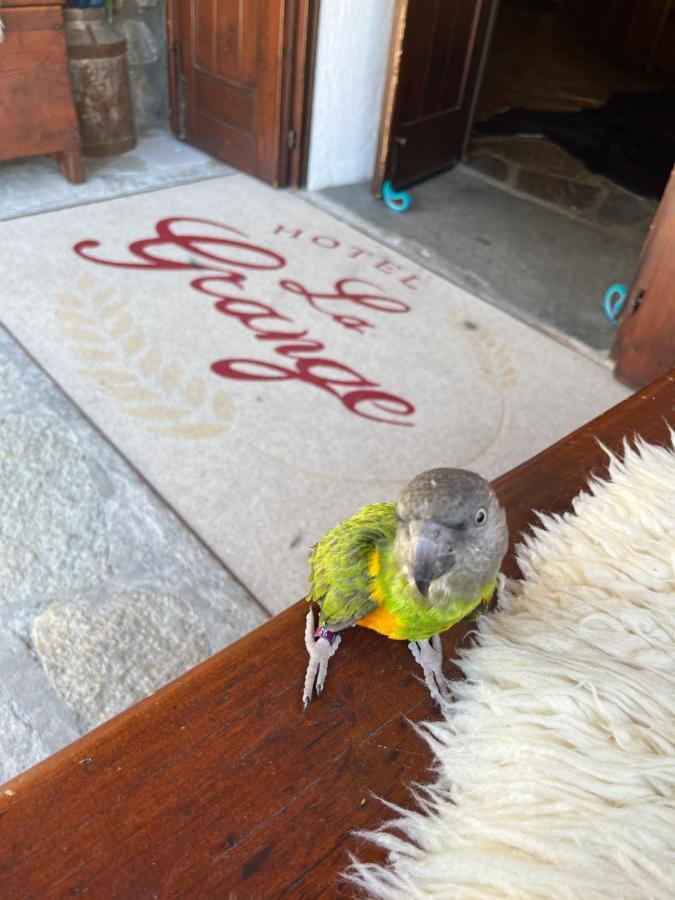 Hotel La Grange - Animal Chic Courmayeur